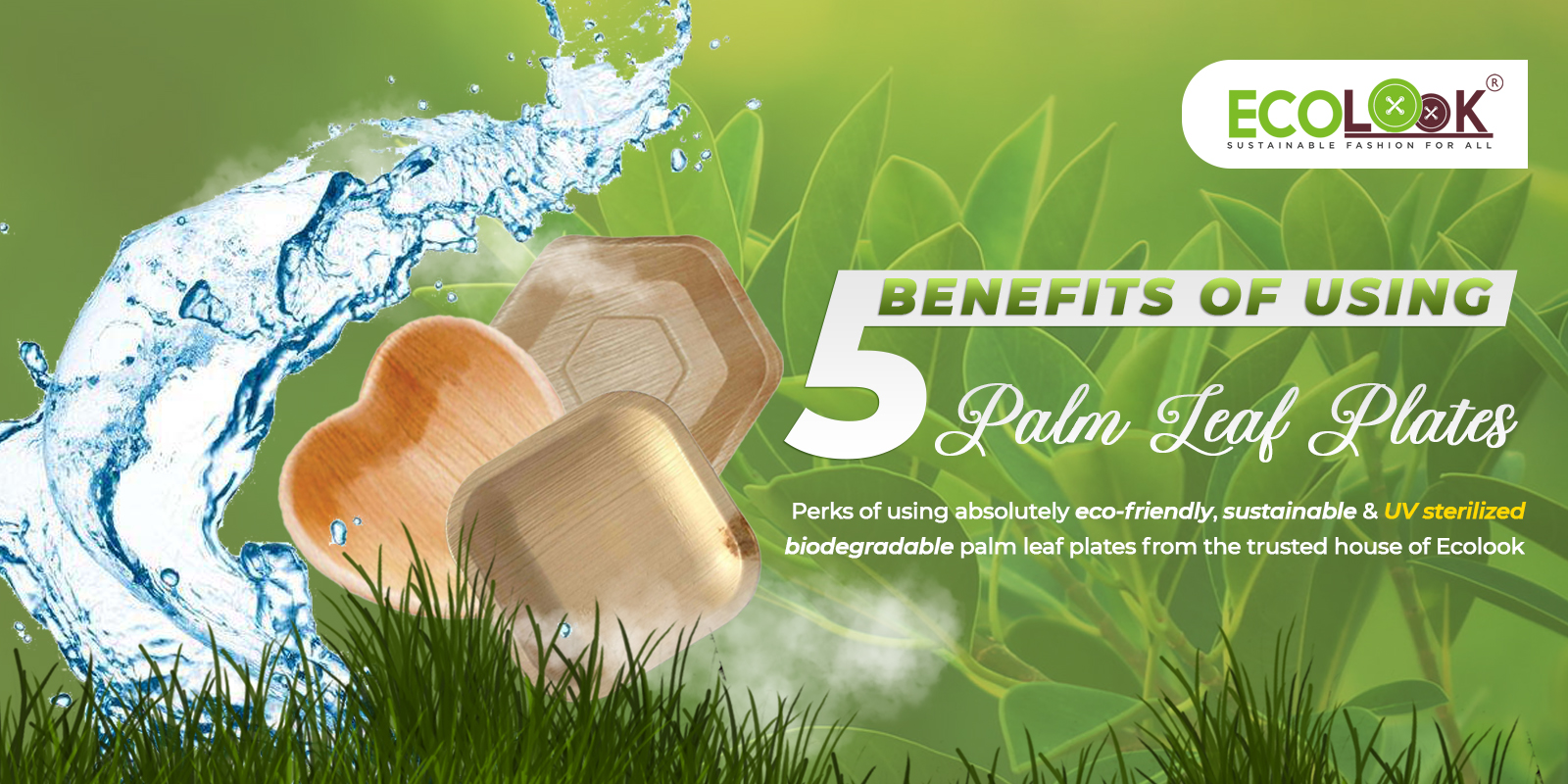 5 Benefits Of Using Palm Leaf Plates
