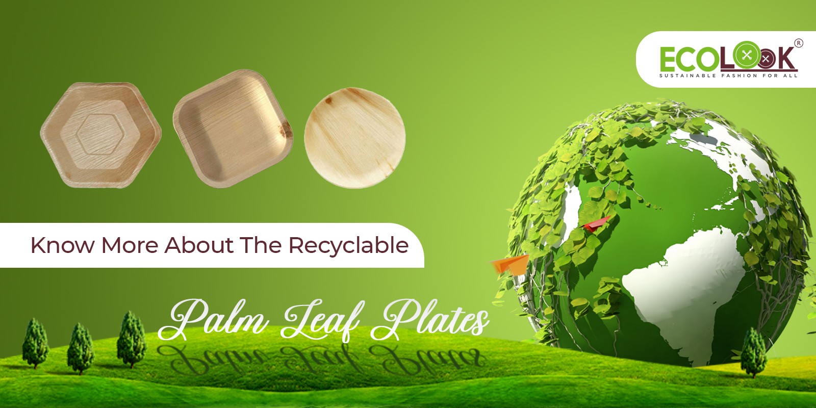 Know More About The Recyclable Palm Leaf Plates